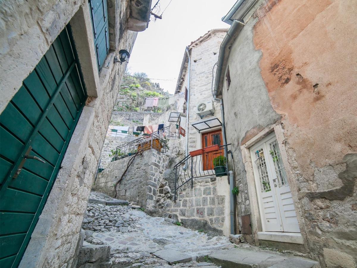 Apartment Alexandra Kotor Buitenkant foto